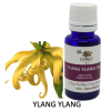 EO YLANG YLANG  OIL   Code : 10983